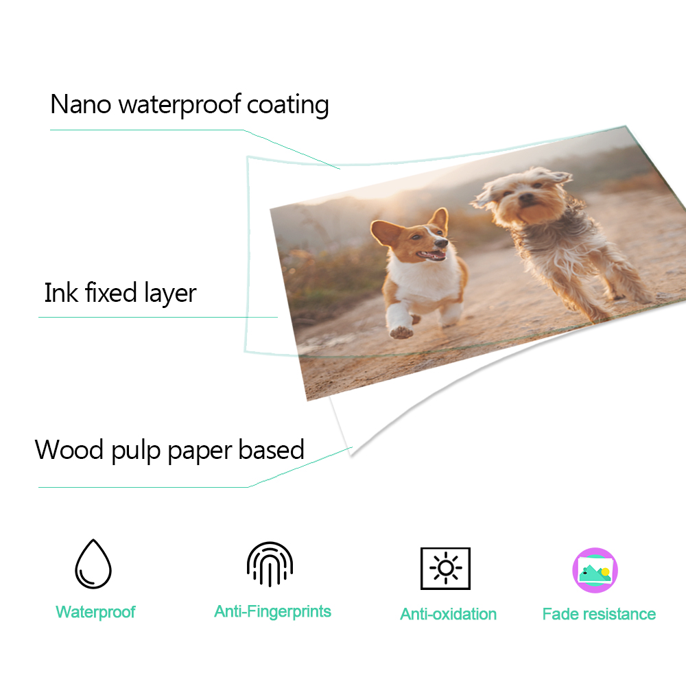 1/2/3/4/5 Stuks 6 inch Inktcar - Commercial Photo Printer recensie en prijs